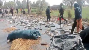 फतेहपुर(CNF)। मछली से लदी पिकअप पलटी, मची अफरा-तफरी