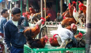 धर्मनगरी Haridwar में मांस बिक्री पर Total Ban! नगर निगम सीमा से बाहर शिफ्ट होंगी सभी दुकानें