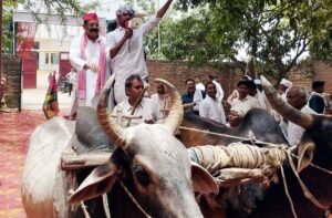 फतेहपुर(CNF)। डीजल-पेट्रोल की महंगाई पर बैलगाड़ी से पहुंचे सपाई