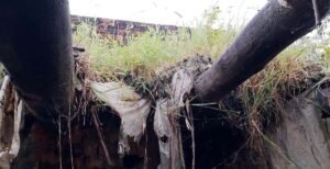 फतेहपुर(CNF)। बारिश ने छीनी गरीब परिवार की छत, छप्पर के नीचे बीत रही रात
